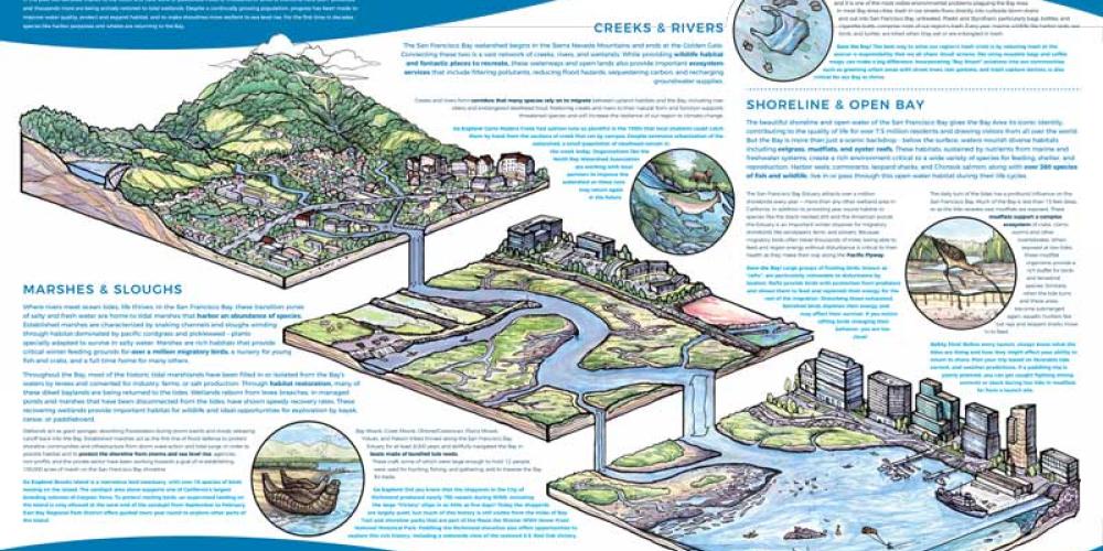 animated drawings of the San Francisco Estuary