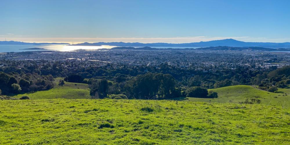 Bay Area
