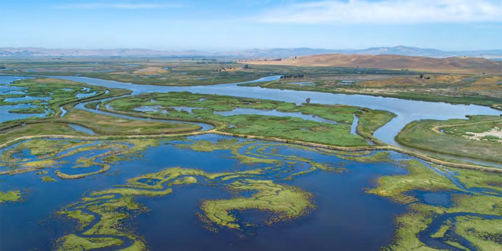 Aerial over the San Francisco Estuary.