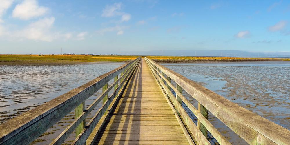 A Bay Trail pier extending into the distance on the Hayward Shoreline.