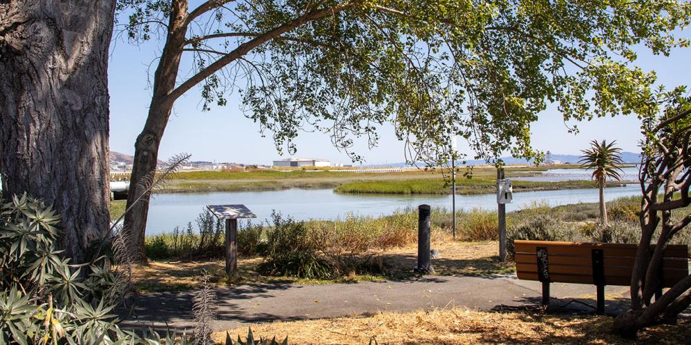 A portion of the San Francisco Bay Trail near San Francisco International Airport (SFO).