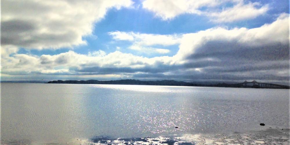 Estuary News