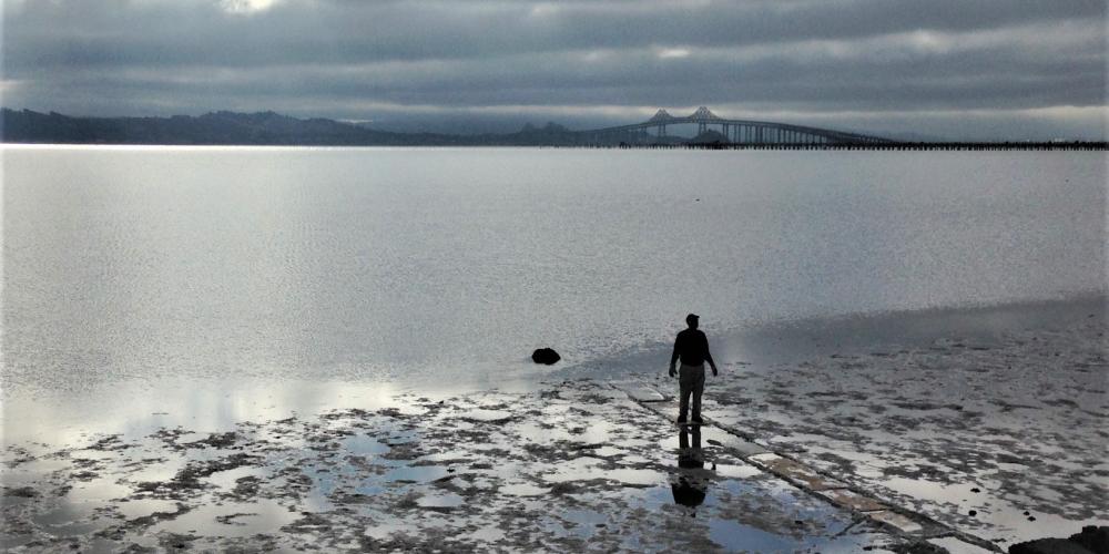Estuary