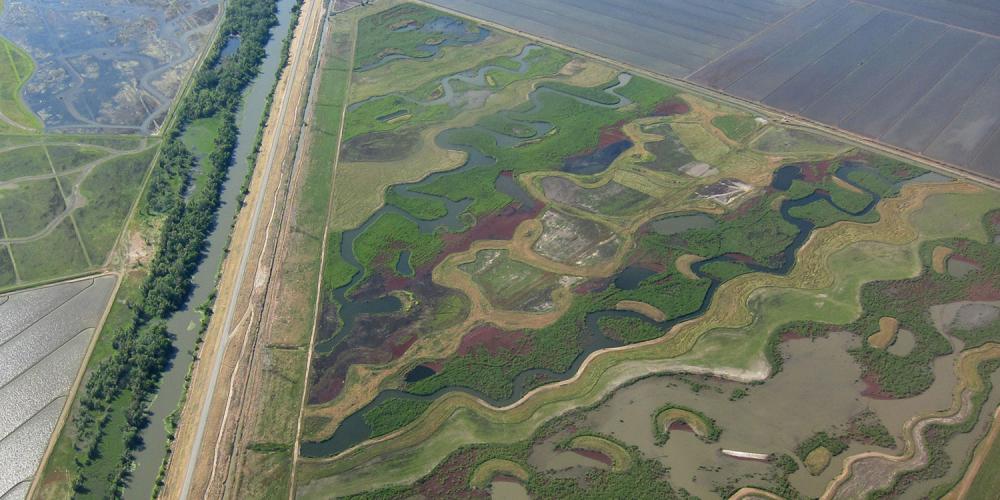 San Francisco Estuary Partnership