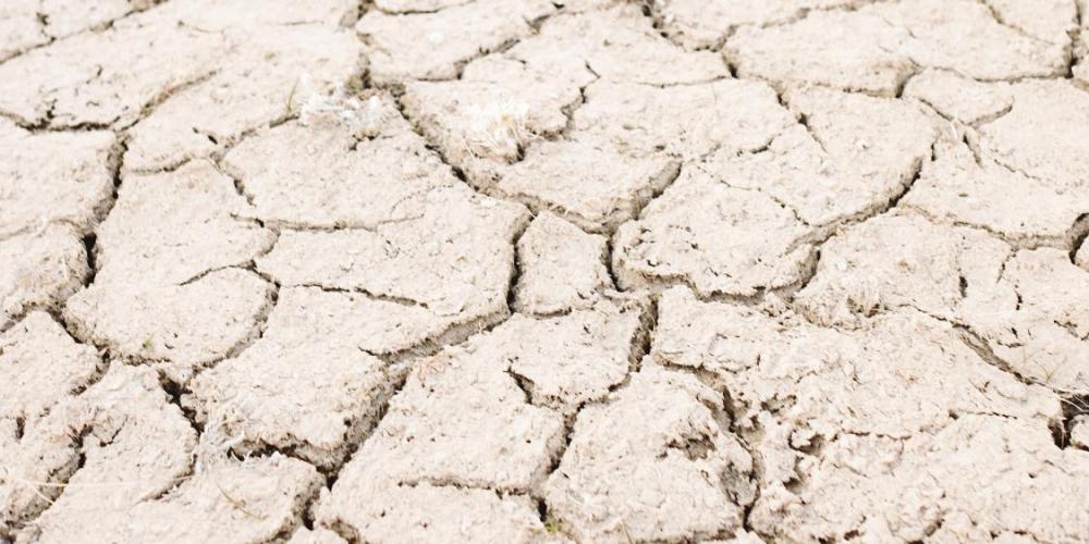 dry, cracked soil